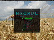 TWM arcade.sh